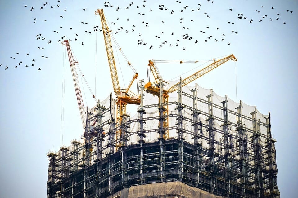 construction cranes with birds