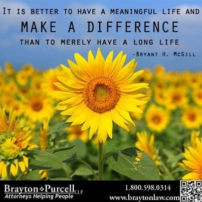 sunflowers with quote 