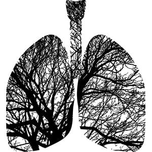 lung with tree in black and white