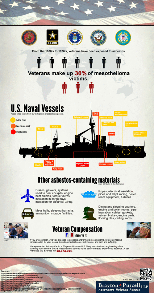 Veterans Memorial Day Infographic